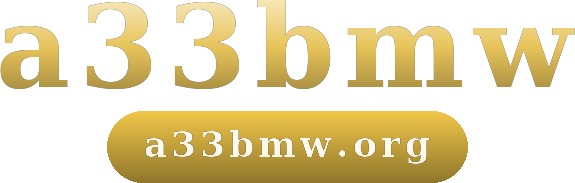 a33bmw logo